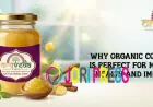 Why Organic Cow Ghee Is Perfect for Monsoon Health and Immunity