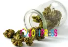 THC vs CBD: What's Actually Different and Which One You Need