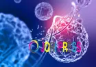 Stem Cell Therapy in India | Advanced Regenerative Medicine