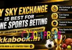 Why Sky Exchange Is Best for Online Sports Betting