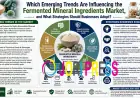 Fermented Mineral Ingredients Market Size, Share, Growth Trends & Forecast