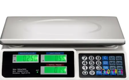 Chinazhengya Spring Scale for Educational Use