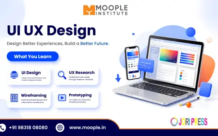 Course for UI UX Design Skills