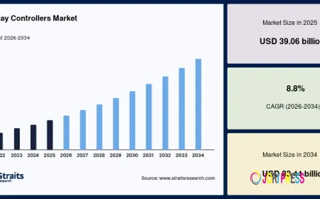 Display Controllers Market Research Report with Competitive Landscape and Industry Insights