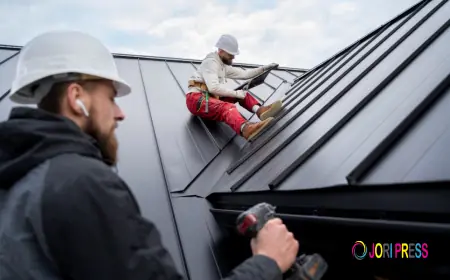 Berwick Window & Pressure Cleaning Expands Gutter Cleaning Services in Melbourne