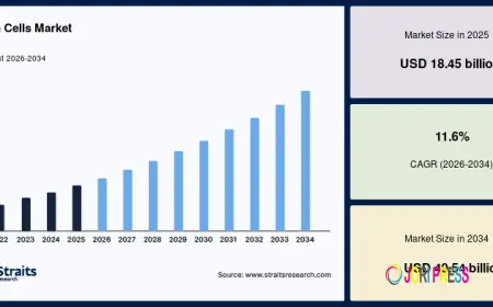 Stem Cells Market Size, Share & Forecast to 2034