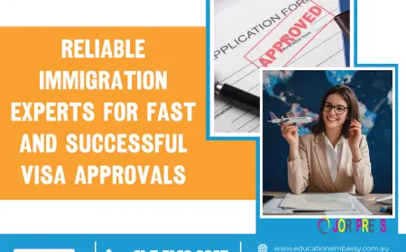 Top Immigration Agents in Brisbane: Complete Guide to Australian Visa Success (2026)