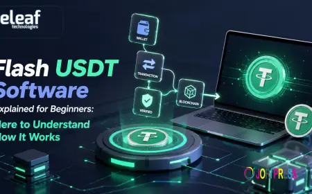 Flash USDT Software Explained for Beginners: Here to Understand How It Works