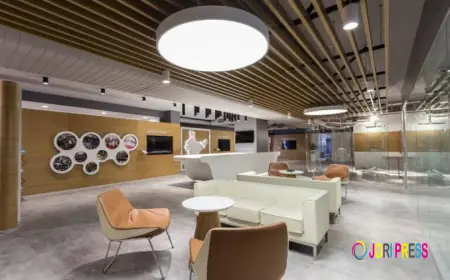 Premium Office Interior Designer in Noida Sets New Standards for Modern and Productive Workspaces