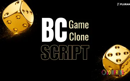 What Makes a Good BC Game Clone Script?