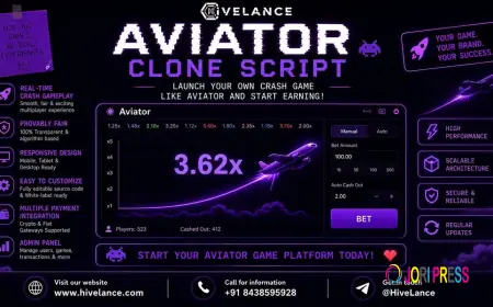 Cost vs. Revenue: Is an Aviator Clone Script Profitable?