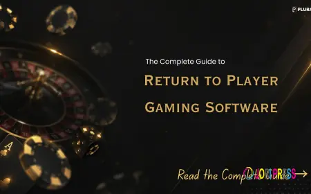 The Complete Guide to Return to Player Gaming Software