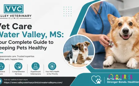 Vet Care Water Valley, MS: Your Complete Guide to Keeping Pets Healthy