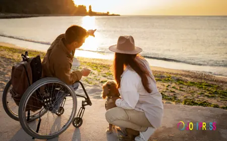 NDIS Providers Brisbane: The Complete Guide to Finding the Right Support in 2026