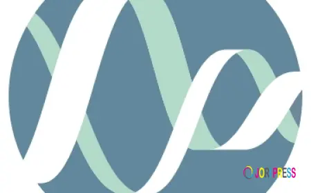 Finding the Right Care for Back Pain: Why Choosing a Chiropractor in Caringbah, Chiropractor in Sylvania, and Remedial Massage in Sutherland Matters