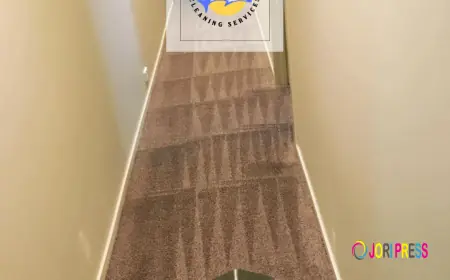 Carpet Steam Cleaning Services in Melbourne | Professional Carpet Cleaners