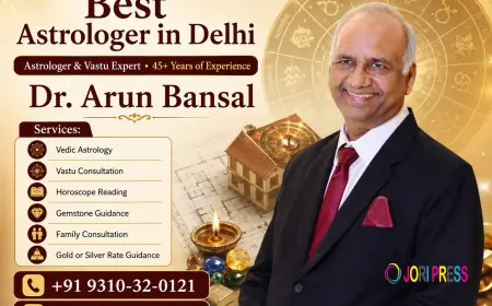 Best Astrologer in Delhi