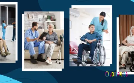 NDIS Registered Provider Blacktown: Helping Participants Live With Greater Independence