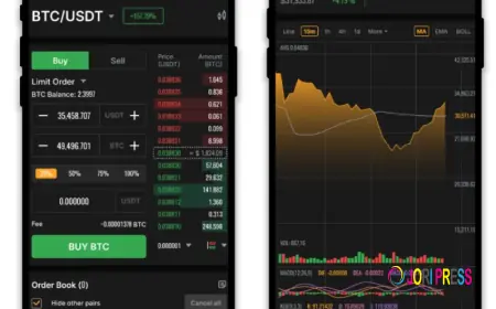 Why Startups Are Choosing P2P Crypto Exchange Development Over Centralized Models