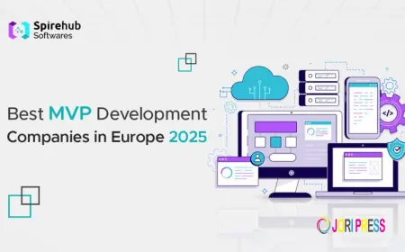 Why MVP Development Needs a Different Strategy in 2025, Spire Hub Software?