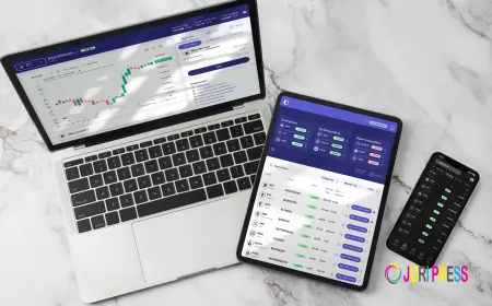NSW Land Tax Calculator: A Practical Guide for Property Investors