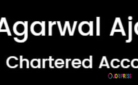 CA Ankur: A Professional Look at One of the Best Chartered Accountant Firms in Patna