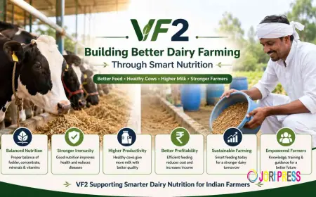 VF2 Building Better Dairy Farming Through Smart Nutrition