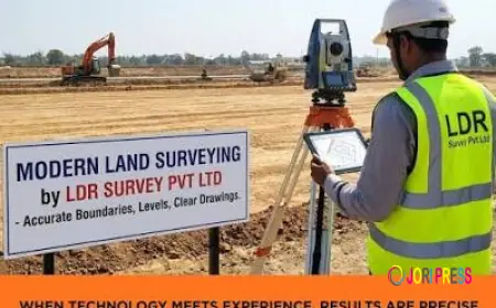 How to Choose the Best Survey Companies in India for Your Project
