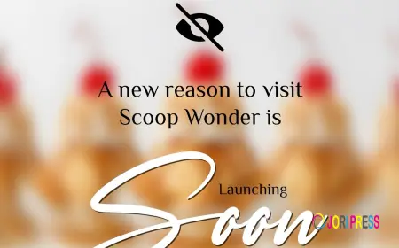 Something Sweet This Way Comes: Scoop Wonder Is Launching a Brand-New Creation