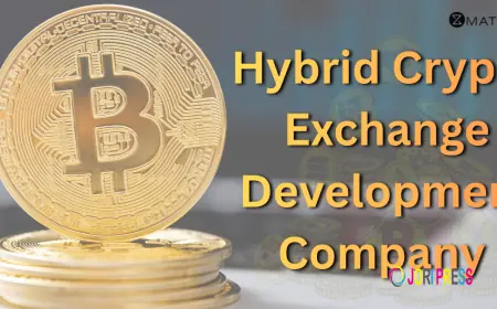 Why Choosing a Hybrid Crypto Exchange Development Company Is a Strategic Move for Modern Crypto Businesses?