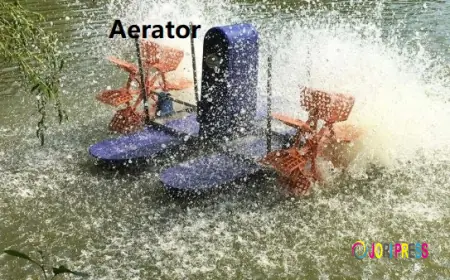 Chinaaerator Main Spare Parts For Paddle Wheel Aerator Systems