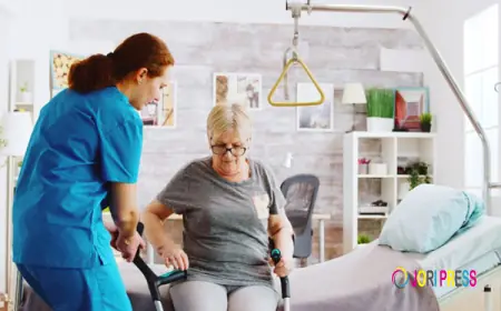 Hospice Care for Elderly: Myths and Facts Families Should Know
