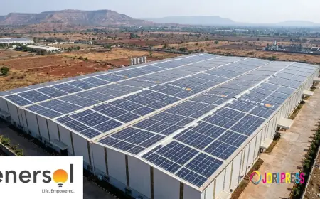 Powering Smarter Decisions with Solar That Delivers Long-Term Value