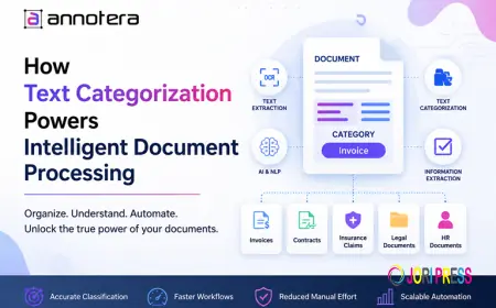 How Text Categorization Powers Intelligent Document Processing