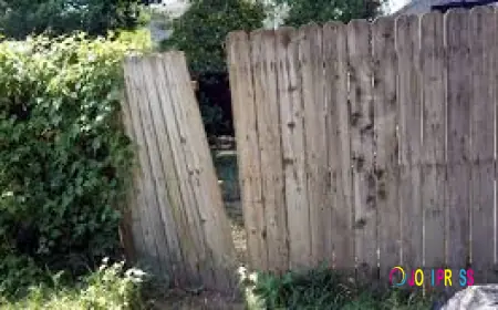 Protect Your Farm With Quality Agricultural Fencing Services in Oregon