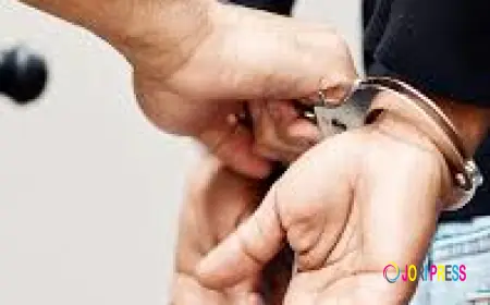 Reliable and Professional Legal Services to Individuals, Families, and Businesses