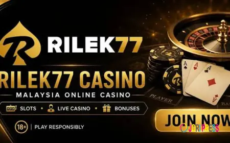 How Live Dealer Casino Games Work (And Why They’re Growing in Popularity)