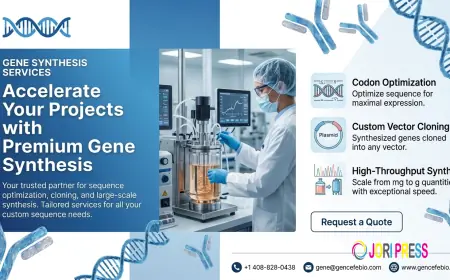 Gene Synthesis Services: Accelerating Modern Biotechnology with Precision