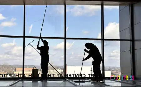 How Often Should Commercial Windows Be Washed?