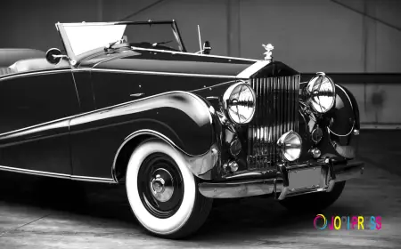 Why a Trusted Personal Chauffeur Becomes an Indispensable Part of a Private Household