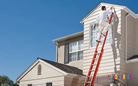 Wollongong Painter Decorator Delivers Durable Painting Solutions for Homes and Businesses Across the Illawarra