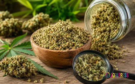 Can You Vape Cannabis Shake? Everything You Should Know