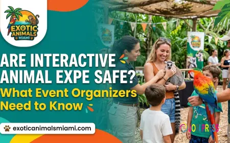 Interactive Animal Experience | Experiential Marketing Activations - Exotic Animals Miami