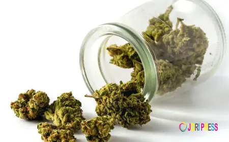 THC vs CBD: What's Actually Different and Which One You Need