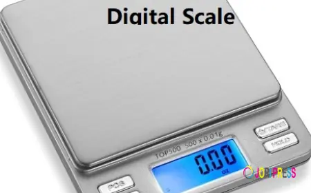 MECHANICAL HANGING SCALE DIAL SPRING SCALE CHINAZHENGYA Warehouse
