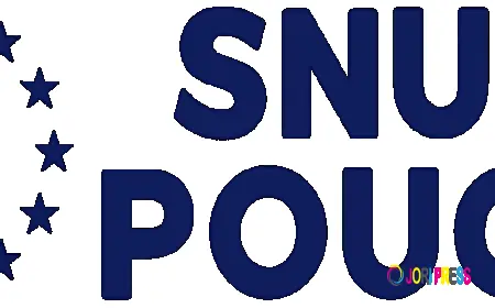 Apres Nicotine Pouches Online – Slim & Stylish Pouches