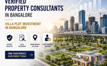 Why Choosing the Right Real Estate Consultant Matters in Bangalore