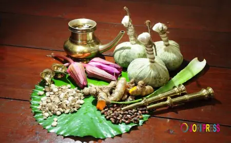Natural Uterus Prolapse Treatment in India
