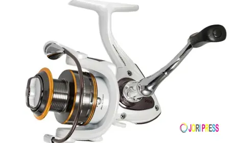 What Reel Design Features Matter Most When Selecting the Best Flipping Pitching Reel?