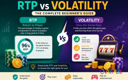 RTP vs Volatility: The Complete Beginner's Guide